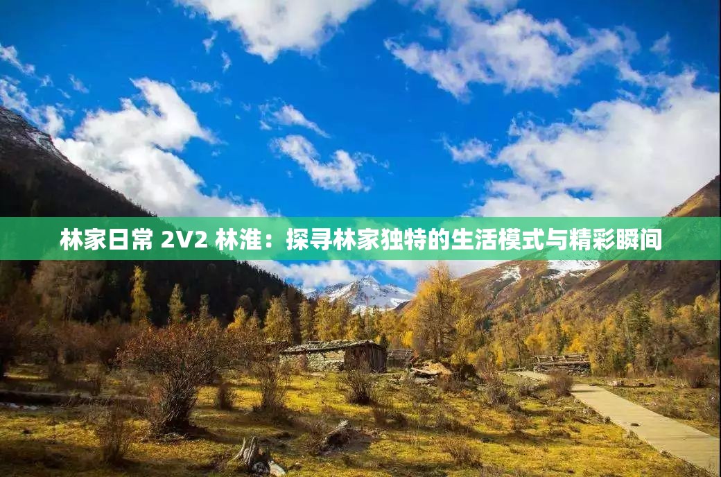 林家日常 2V2 林淮：探寻林家独特的生活模式与精彩瞬间
