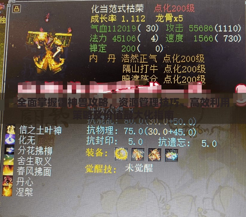 全面掌握雷神兽攻略，资源管理技巧、高效利用策略及价值最大化指南