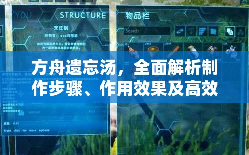 方舟遗忘汤，全面解析制作步骤、作用效果及高效管理技巧