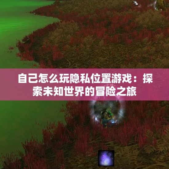 自己怎么玩隐私位置游戏：探索未知世界的冒险之旅