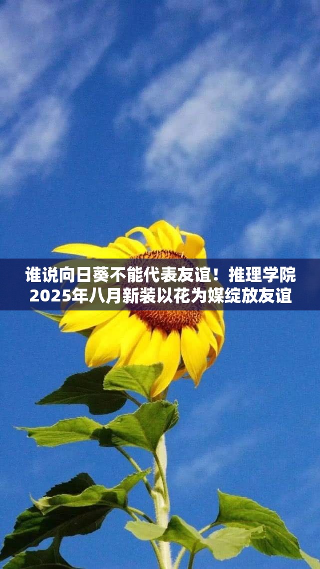 谁说向日葵不能代表友谊！推理学院2025年八月新装以花为媒绽放友谊之花