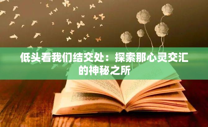 低头看我们结交处：探索那心灵交汇的神秘之所