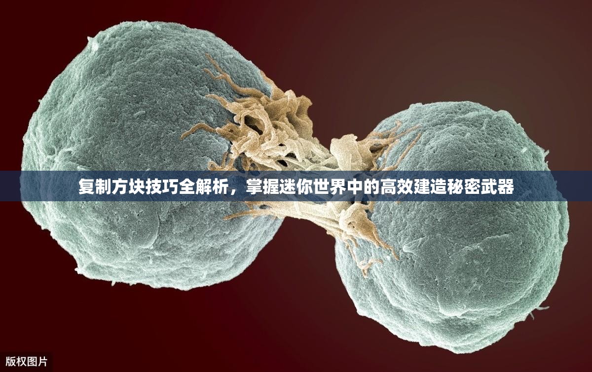 复制方块技巧全解析，掌握迷你世界中的高效建造秘密武器