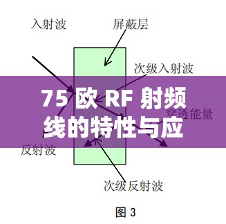75 欧 RF 射频线的特性与应用探讨