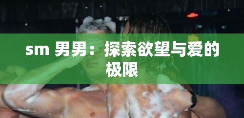 sm 男男：探索欲望与爱的极限