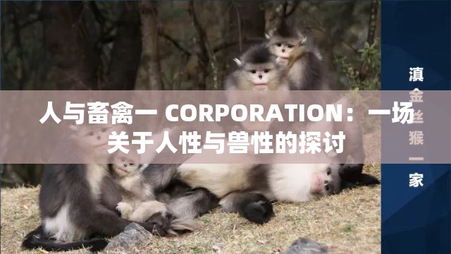 人与畜禽一 CORPORATION：一场关于人性与兽性的探讨