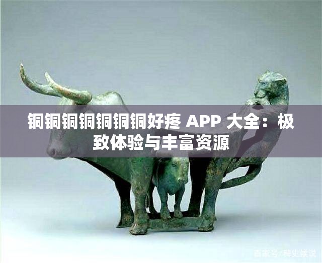 铜铜铜铜铜铜铜好疼 APP 大全：极致体验与丰富资源
