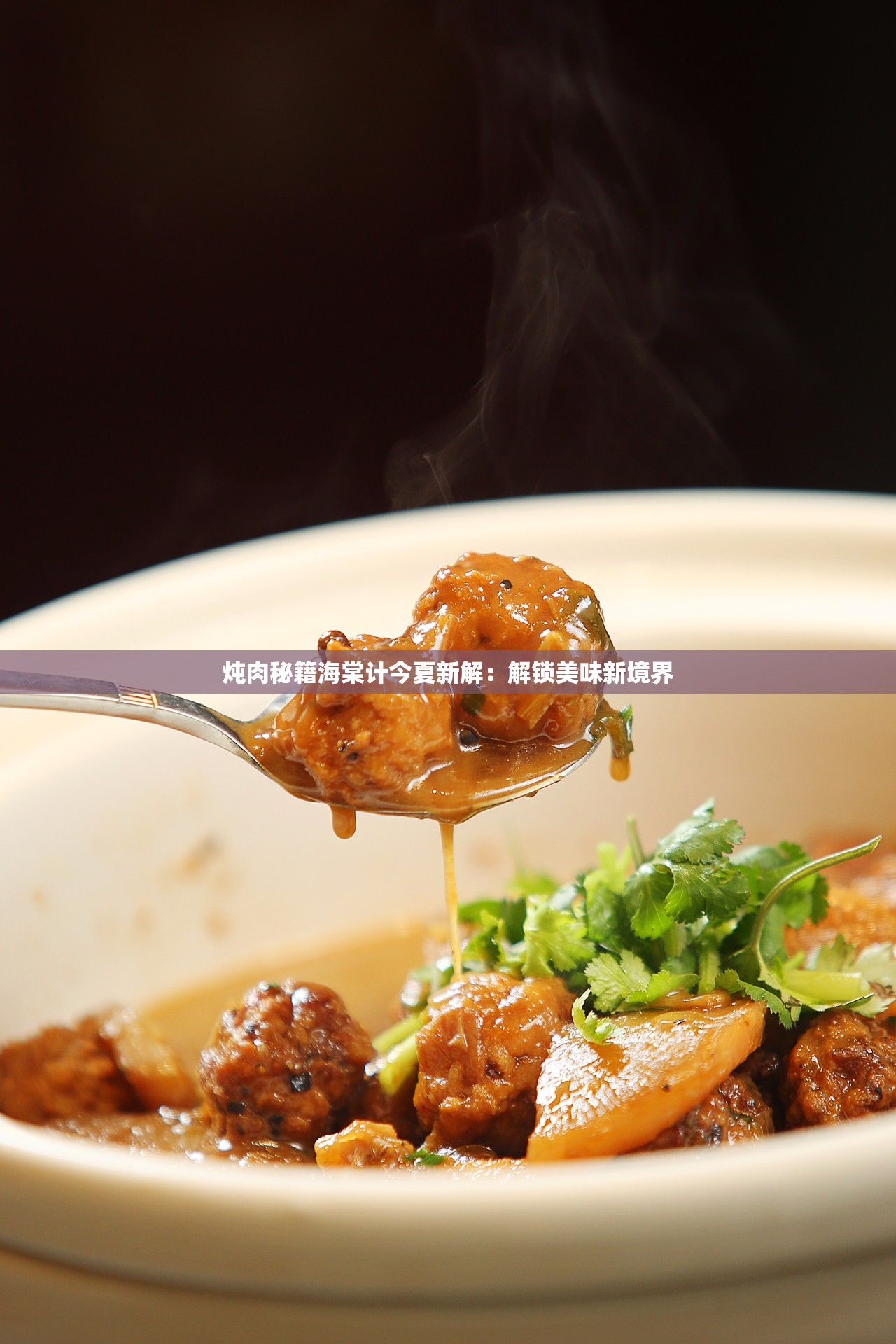炖肉秘籍海棠计今夏新解：解锁美味新境界
