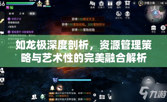 如龙极深度剖析，资源管理策略与艺术性的完美融合解析