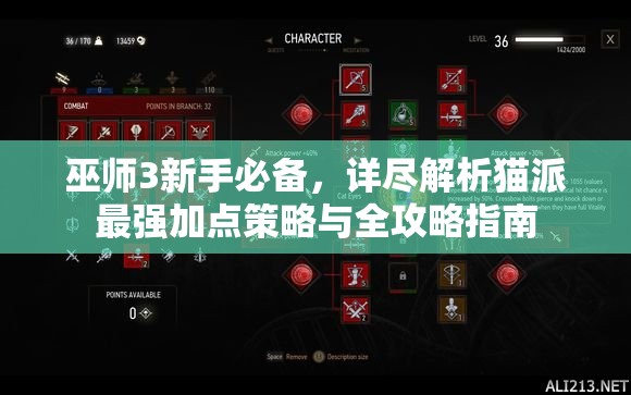 巫师3新手必备，详尽解析猫派最强加点策略与全攻略指南