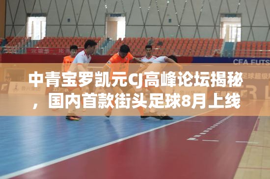 中青宝罗凯元CJ高峰论坛揭秘，国内首款街头足球8月上线，探索资源管理新艺术