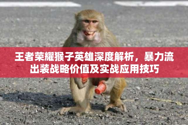 王者荣耀猴子英雄深度解析，暴力流出装战略价值及实战应用技巧