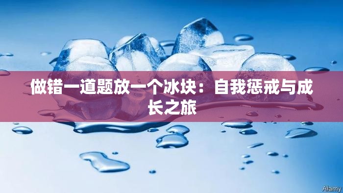 做错一道题放一个冰块：自我惩戒与成长之旅