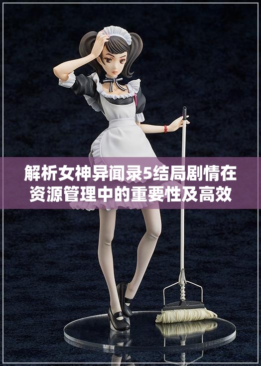 解析女神异闻录5结局剧情在资源管理中的重要性及高效整合利用策略