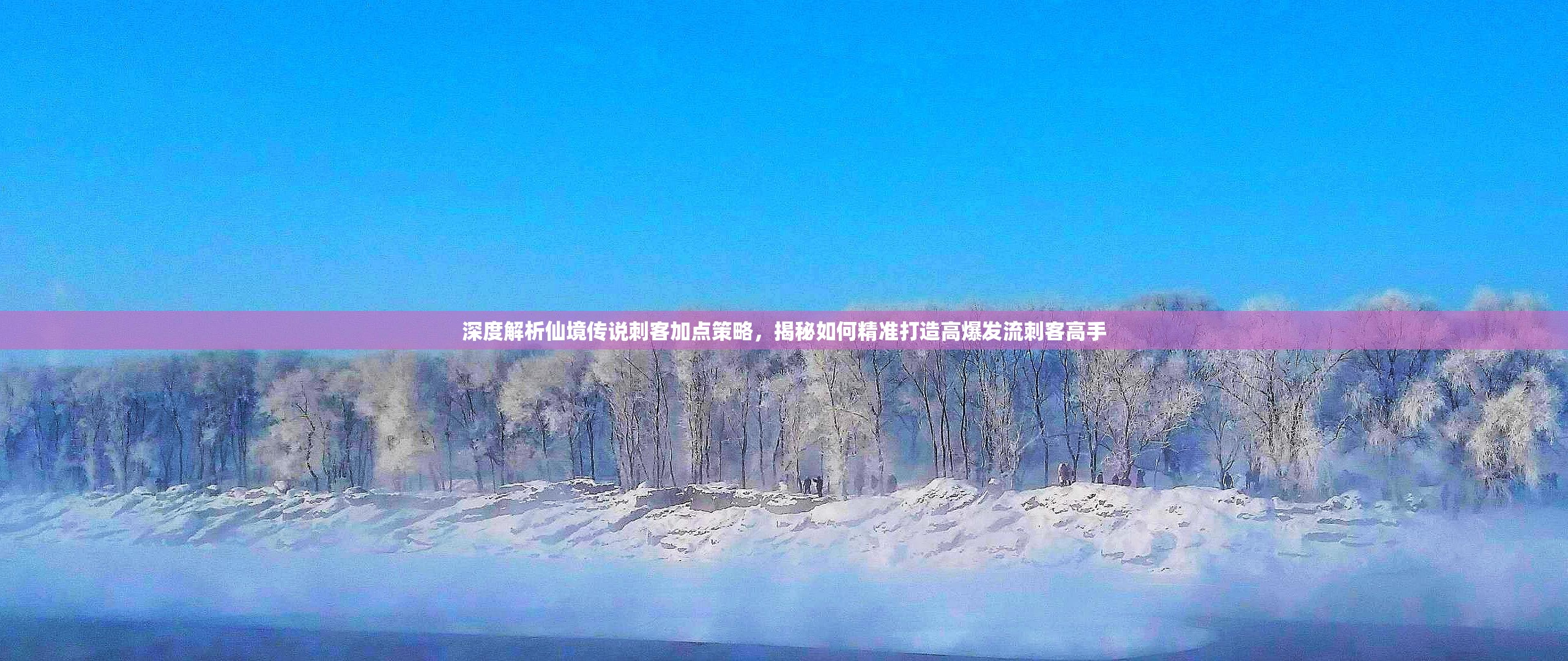 深度解析仙境传说刺客加点策略，揭秘如何精准打造高爆发流刺客高手