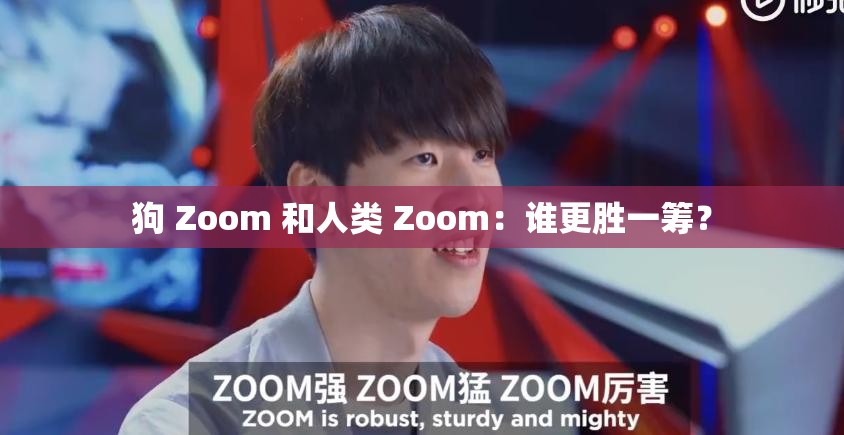 狗 Zoom 和人类 Zoom：谁更胜一筹？