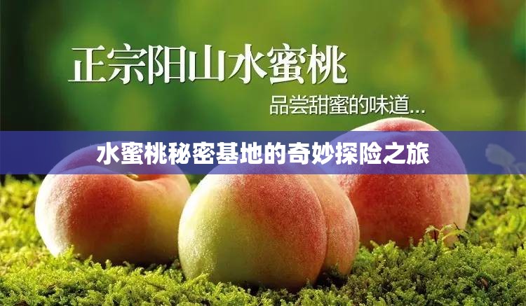 水蜜桃秘密基地的奇妙探险之旅