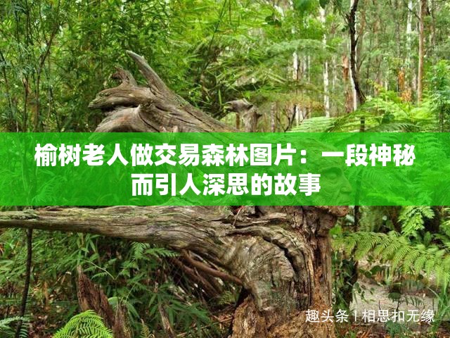 榆树老人做交易森林图片：一段神秘而引人深思的故事