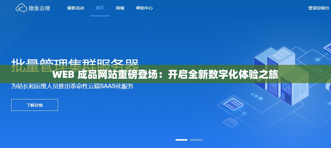 WEB 成品网站重磅登场：开启全新数字化体验之旅