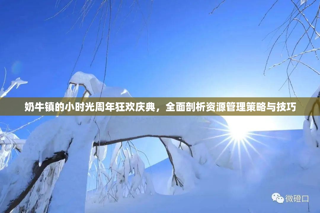 奶牛镇的小时光周年狂欢庆典，全面剖析资源管理策略与技巧