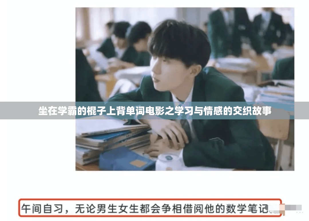 坐在学霸的棍子上背单词电影之学习与情感的交织故事