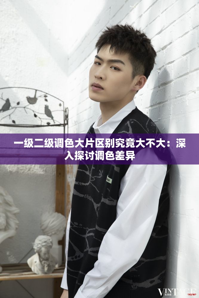 一级二级调色大片区别究竟大不大：深入探讨调色差异