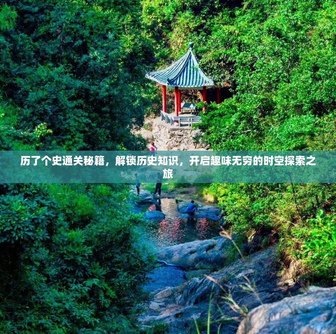 历了个史通关秘籍，解锁历史知识，开启趣味无穷的时空探索之旅