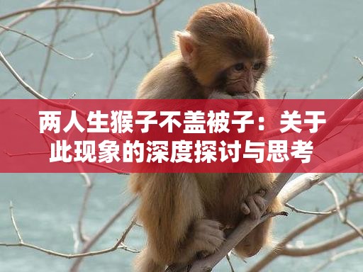 两人生猴子不盖被子：关于此现象的深度探讨与思考