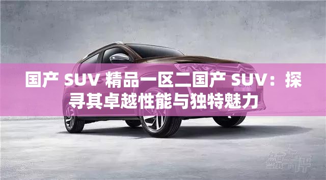 国产 SUV 精品一区二国产 SUV：探寻其卓越性能与独特魅力