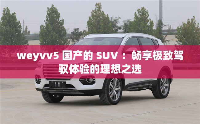 weyvv5 国产的 SUV ：畅享极致驾驭体验的理想之选