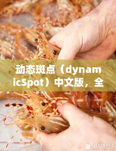动态斑点（dynamicSpot）中文版，全面指南，涵盖下载、使用技巧及资源管理优化