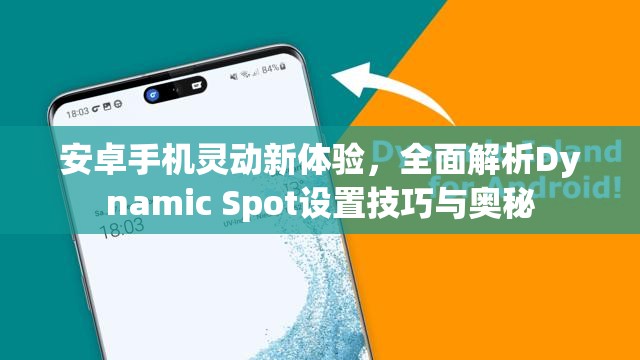 安卓手机灵动新体验，全面解析Dynamic Spot设置技巧与奥秘