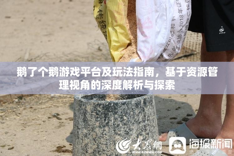 鹅了个鹅游戏平台及玩法指南，基于资源管理视角的深度解析与探索
