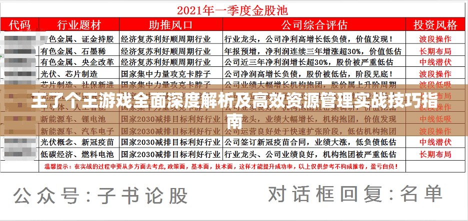 王了个王游戏全面深度解析及高效资源管理实战技巧指南