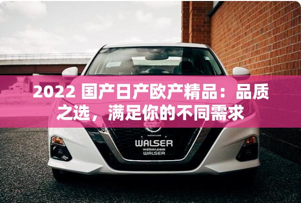 2022 国产日产欧产精品：品质之选，满足你的不同需求