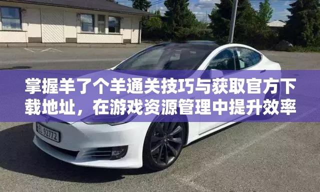 掌握羊了个羊通关技巧与获取官方下载地址，在游戏资源管理中提升效率与体验的关键