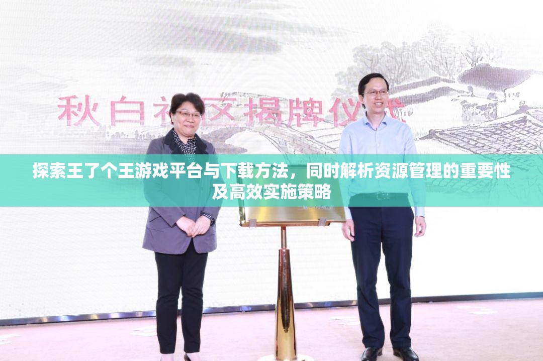 探索王了个王游戏平台与下载方法，同时解析资源管理的重要性及高效实施策略