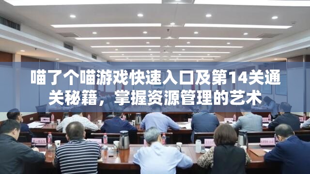 喵了个喵游戏快速入口及第14关通关秘籍，掌握资源管理的艺术