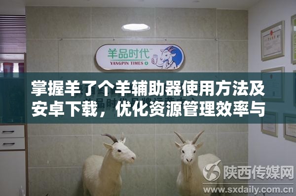 掌握羊了个羊辅助器使用方法及安卓下载，优化资源管理效率与策略