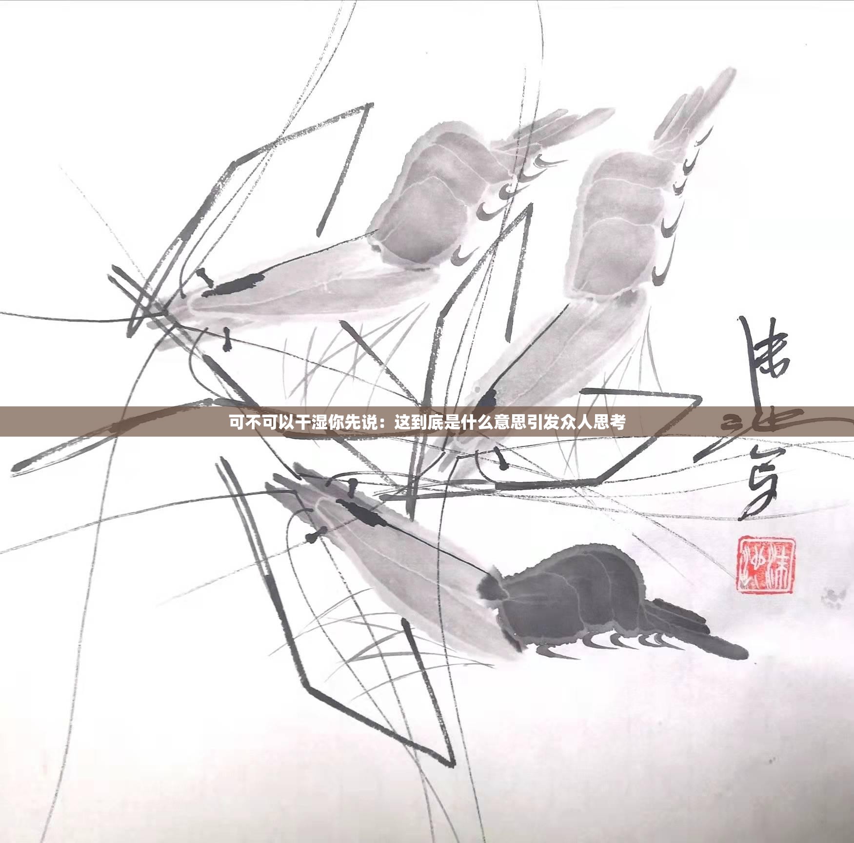 可不可以干湿你先说：这到底是什么意思引发众人思考