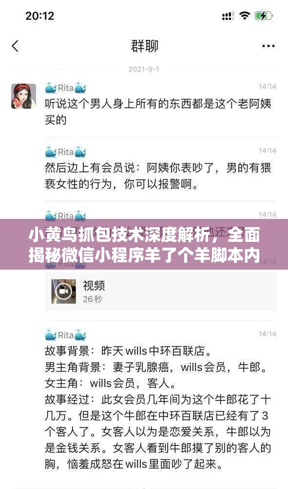 小黄鸟抓包技术深度解析，全面揭秘微信小程序羊了个羊脚本内幕