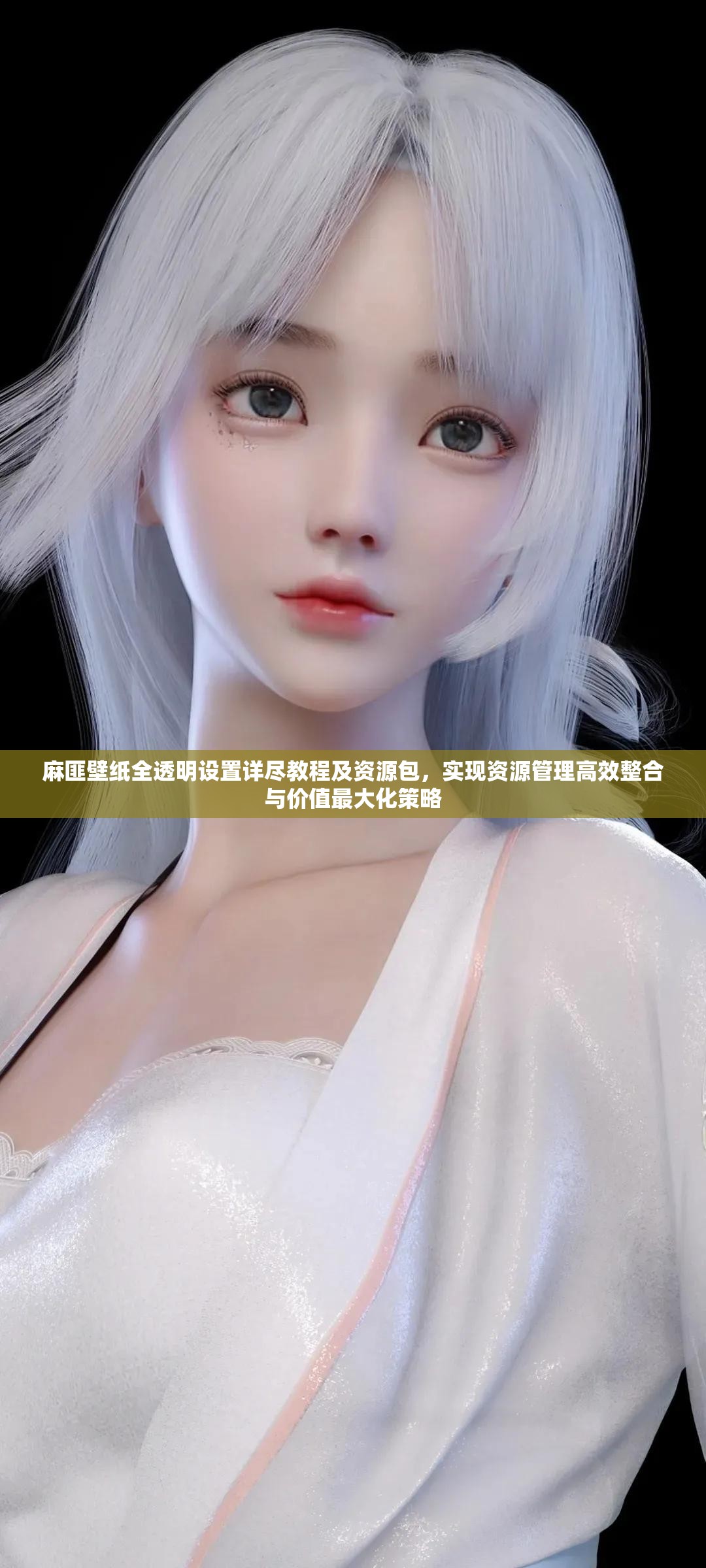 麻匪壁纸全透明设置详尽教程及资源包，实现资源管理高效整合与价值最大化策略