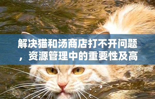 解决猫和汤商店打不开问题，资源管理中的重要性及高效打开策略解析