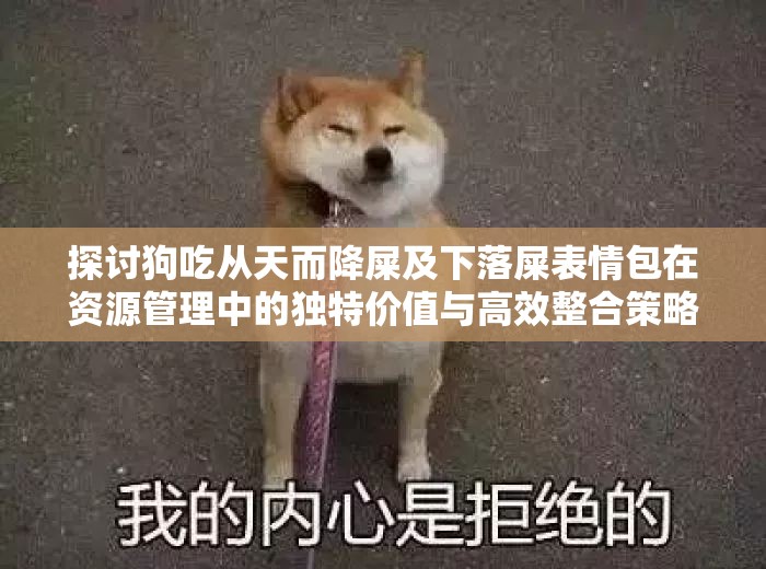 探讨狗吃从天而降屎及下落屎表情包在资源管理中的独特价值与高效整合策略