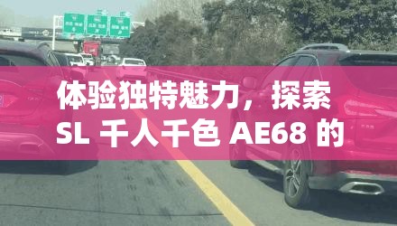 体验独特魅力，探索 SL 千人千色 AE68 的无限可能