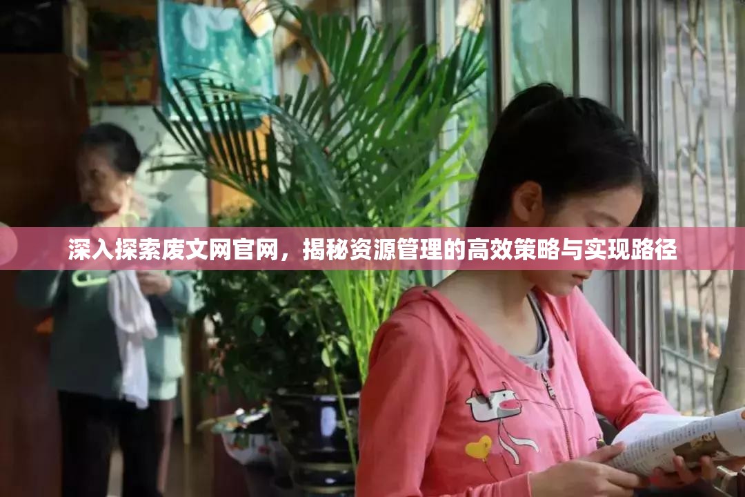 深入探索废文网官网，揭秘资源管理的高效策略与实现路径