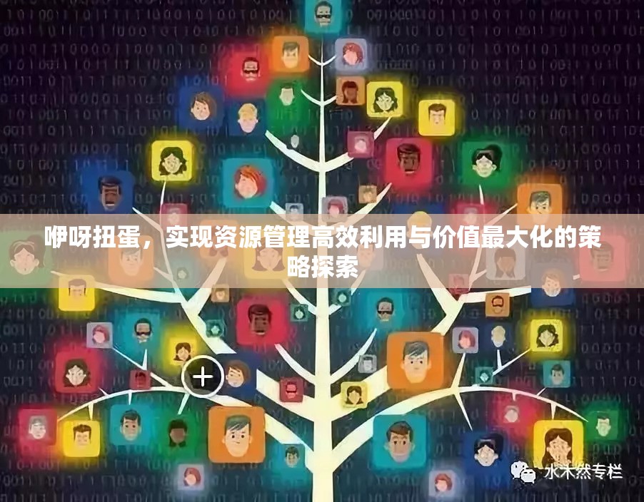 咿呀扭蛋，实现资源管理高效利用与价值最大化的策略探索