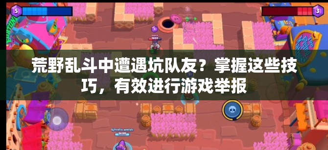 荒野乱斗中遭遇坑队友？掌握这些技巧，有效进行游戏举报