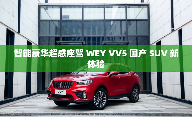 智能豪华超感座驾 WEY VV5 国产 SUV 新体验