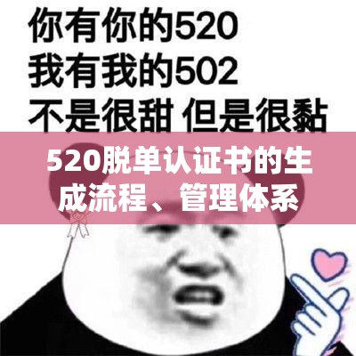 520脱单认证书的生成流程、管理体系及其情感价值与社会效应最大化策略